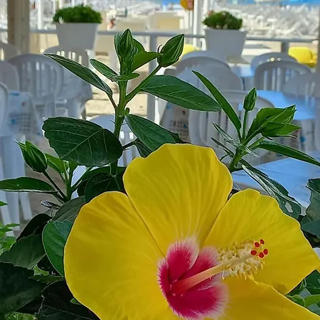 Vincy's House, Mare E Collina Holiday home *